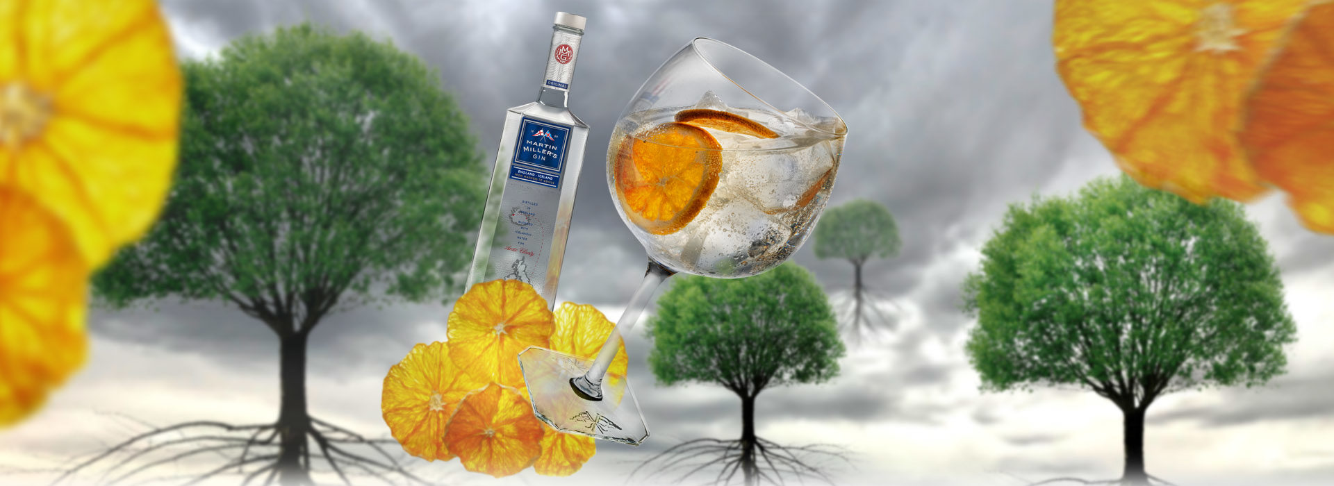 Gin & Tonic con Naranja Deshidratada