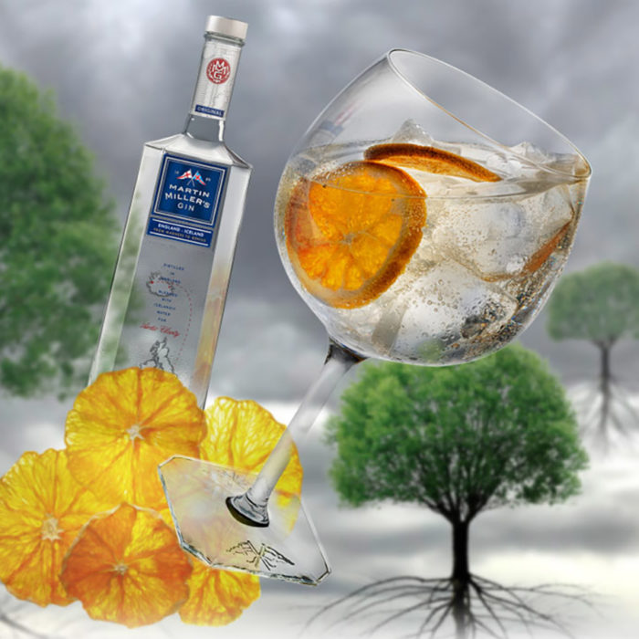 Gin & Tonic con Naranja Deshidratada